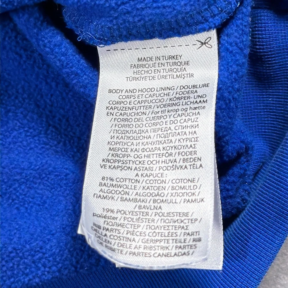 Polo Ralph Lauren‎ Hoodie Men Large Regular Blue Mountain Graphic Logo Gorpcore